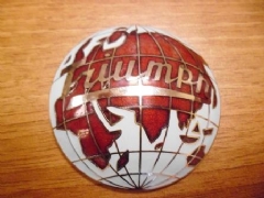 Hub Cap Badge Painted