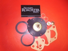 TR18/20 Pump Repair Kit
